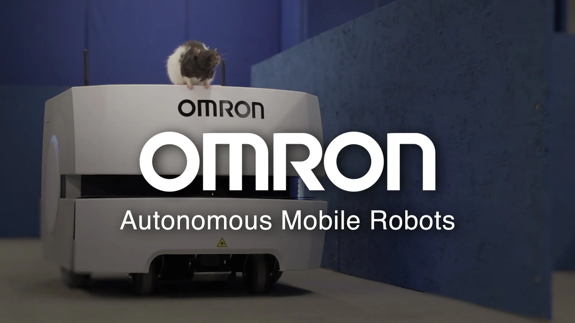 Omron — Rat Race