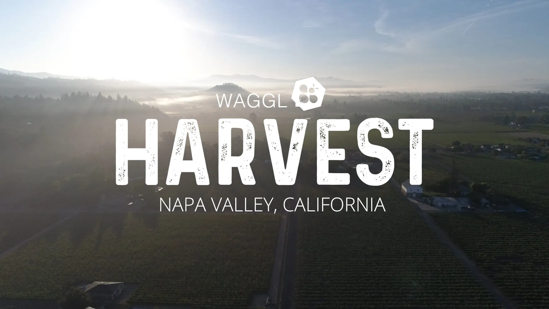 Waggl Harvest 2018 — User Conference Recap